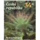 1255 - Brainea insignis