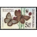 0326 - Modrásek bahenní