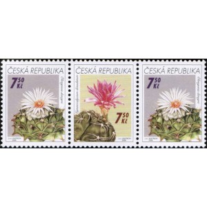 0485-0484 (3blok) - Pěstitelství - kaktusy