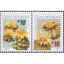 0487-0486 (2blok) - Pěstitelství - kaktusy