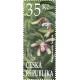 1309 - Phalaenopsis fuscata