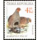 Koroptev polní - vzácná zvěř