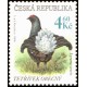 Tetřívek obecný - vzácná zvěř