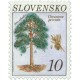 Borovice lesní