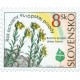 Ruměnice turňanská﻿ (Onosma tornense﻿)
