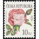 0543 - Kr&aacute;sa květů - růže