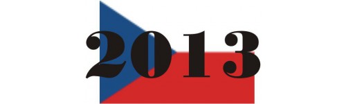 Rok 2013