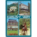Pohled: Karlovy Vary