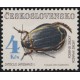 3017 - Potápník široký