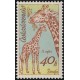 2224 - Žirafa skvrnitá