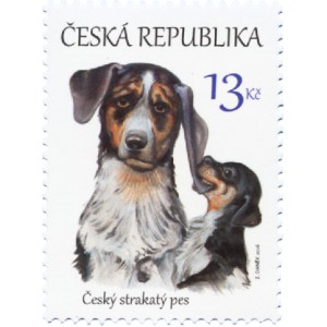 0875 - Štěňata – česká národní plemena psů: Český strakatý pes