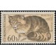1638 - Kočka divoká