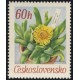 1633 - Glottiphyllum davisil