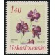 1636 - Dendrobium phalaenopsis Fitzg