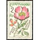 1495 - Šípková růže