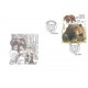 0816 FDC - Medvěd hnědý a Střevlík hrbolatý