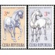 0122-0123 (série) - Kladrubští koně