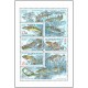 0157-159A (aršík) - Ochrana přírody - ryby