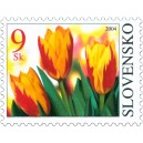 0320 - Květ tulipánu