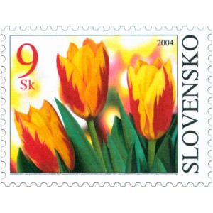 0320 - Květ tulipánu