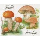 VZS26 - Jedlé houby