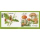 VZS26 - Jedlé houby