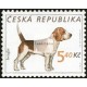 0296-0299 (série) - Pes - Beagle