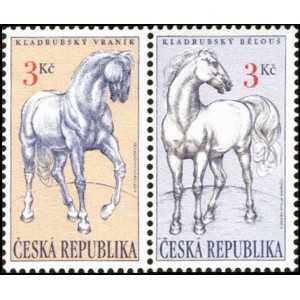 0122-0123 (122+123) - Kladrubští koně
