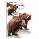 CM133 - ZOO Děčín: medvěd hnědý grizzly