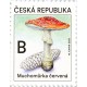 1071 - Muchomůrka červená