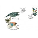 1076 - Zpěvní ptáci: Krkavcovití