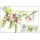 CM085-CM088 - Krása orchidejí