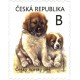 1134 - Štěňata českého horského psa