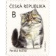 1165 - Perská kočka