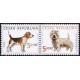 0298-0299 (2blok) - Psi: Beagle + Terier