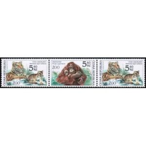 0302-0303 (3blok) - Zvířata v ZOO: Tygr + Orangutan + Tygr