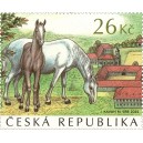 1180 - Starokladrubští koně - klisna s hříbětem