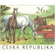 1180 - Starokladrubští koně - klisna s hříbětem