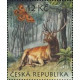 0605 - Jelen lesní a Martináč bukový