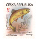 1352 - Vodní říše: pstruh obecný