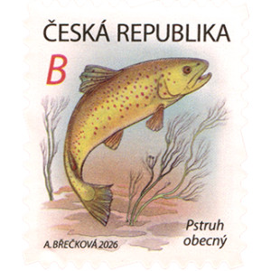 1352 - Vodn&iacute; ř&iacute;&scaron;e: pstruh obecn&yacute;