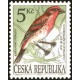 Hýl rudý - zpěvné ptactvo